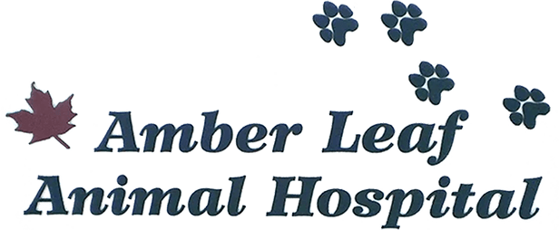 Amber Leaf Animal Hospital